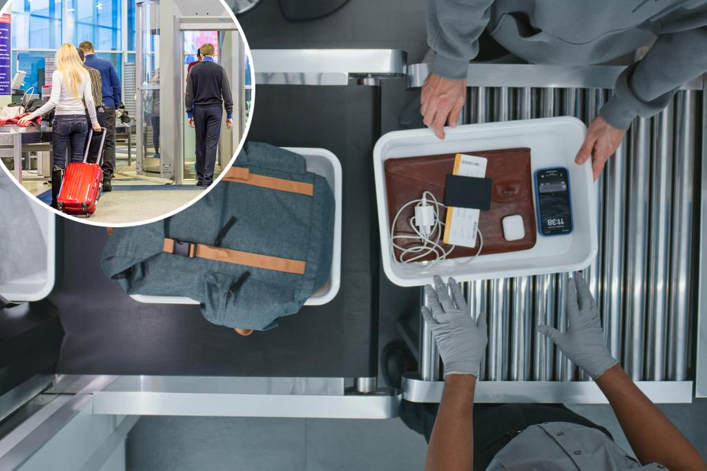 يجب ألا يضع المسافرون هذا العنصر الثمين في صندوق TSA