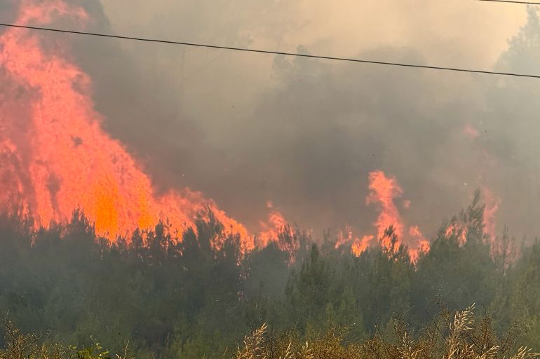 ***داخلية*** الحرائق التهمت مساحة 5600 هكتار من الأراضي الزراعية(الجزيرة نت)