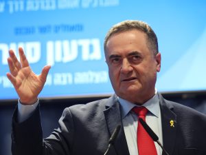 كاتس: سياستنا بسوريا تتضمن وجودنا في جبل الشيخ وحماية الدروز