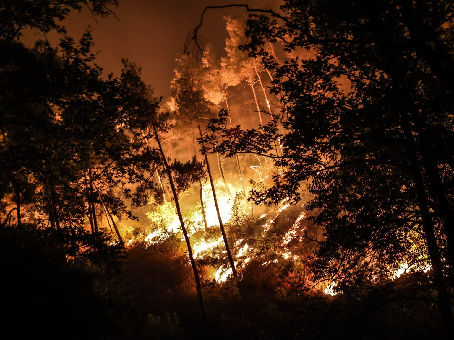 سوريا تطلب مساعدة أوروبية لإخماد حرائق اللاذقية