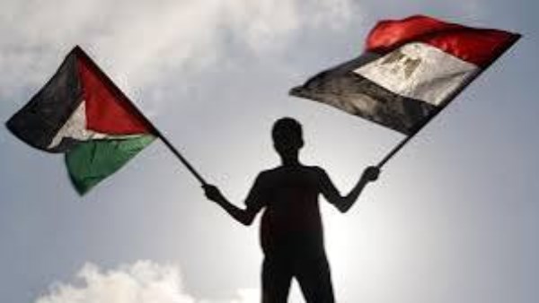 كاتب صحفي: مصر الأكثر حضورا في دعم غزة وأحبطت محاولات التهجير