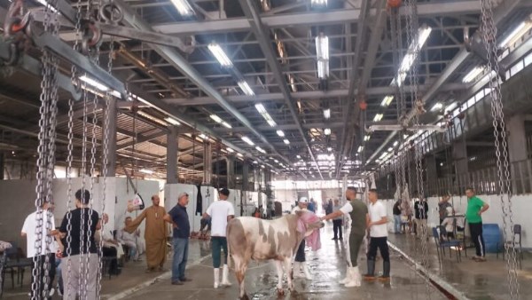 سلامة الغذاء: المجازر والمغلفات الحيوانية تحت الرقابة.. و26 إذن تصدير لأوروبا