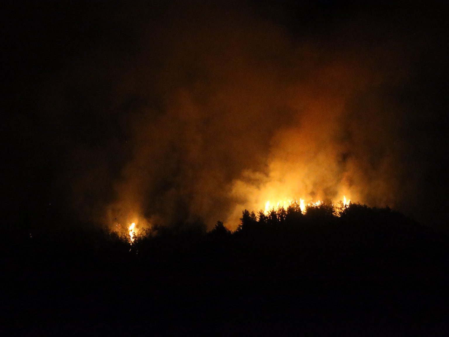 ارتفاع حصيلة ضحايا الحرائق في تركيا