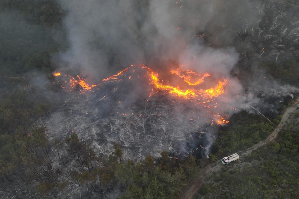 حرائق قرب قصر الشعب بدمشق وفي ريف اللاذقية