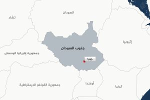 تنديد أممي بالاعتقالات التعسفية في جنوب السودان