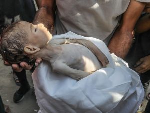 أرواح غزة تتساقط تحت مقصلة التجويع