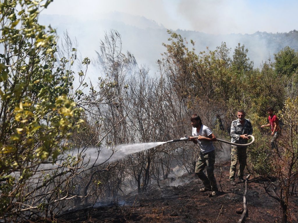 حرائق اللاذقية تلتهم 10 آلاف هكتار من الغابات ودعوات دولية للمساعدة