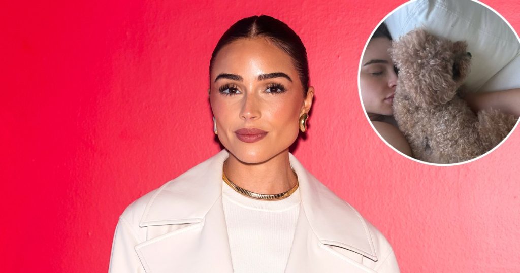 تُظهر أوليفيا كولبو عثرة طفلها المتنامية في بيكيني أنيقة أثناء الذهاب إلى المكياج مجانًا