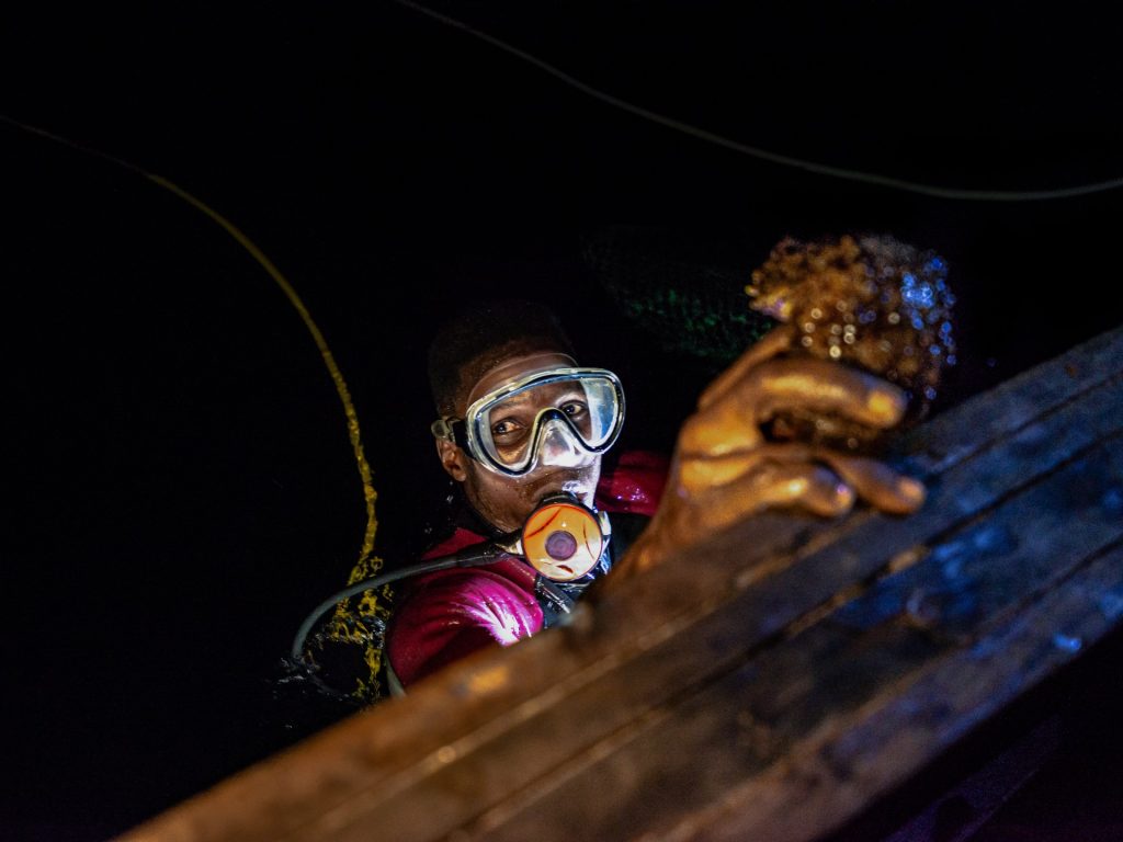 الغواصين الليليين الذين يبحثون عن خيار البحر والأرباح قبالة ساحل غرب إفريقيا