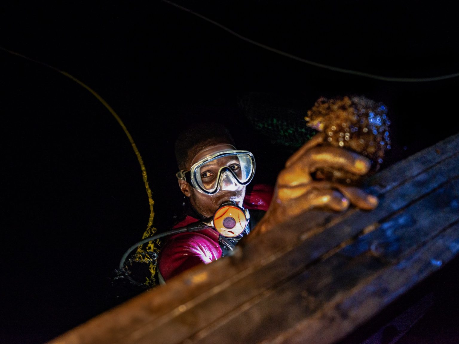 الغواصين الليليين الذين يبحثون عن خيار البحر والأرباح قبالة ساحل غرب إفريقيا