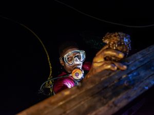 الغواصين الليليين الذين يبحثون عن خيار البحر والأرباح قبالة ساحل غرب إفريقيا