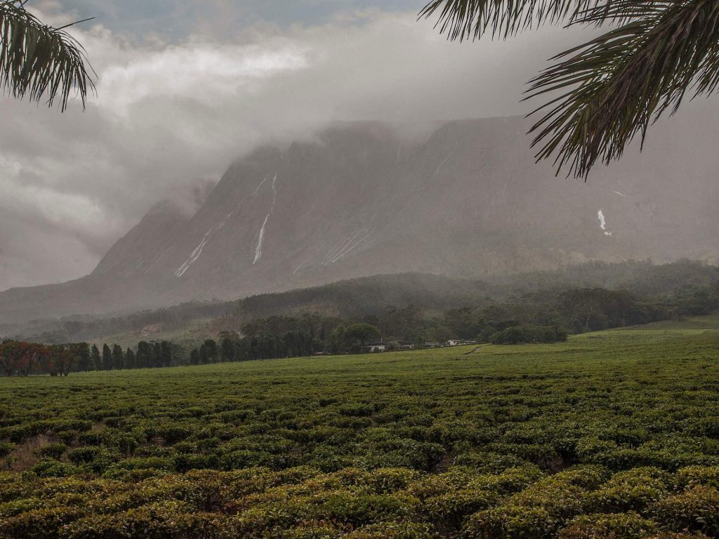 أفريقيا تُعزّز حضورها في قائمة التراث العالمي بموقعين جديدين