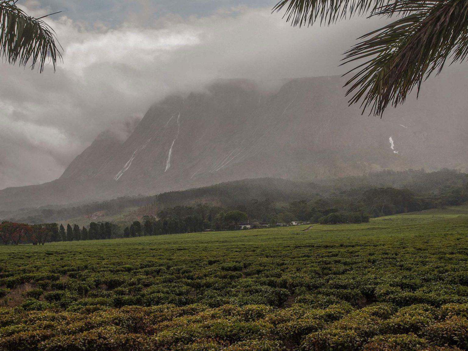 أفريقيا تُعزّز حضورها في قائمة التراث العالمي بموقعين جديدين