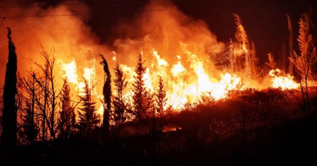 مخاوف وغضب يجتاحان منصات تركيا مع اتساع حرائق الغابات
