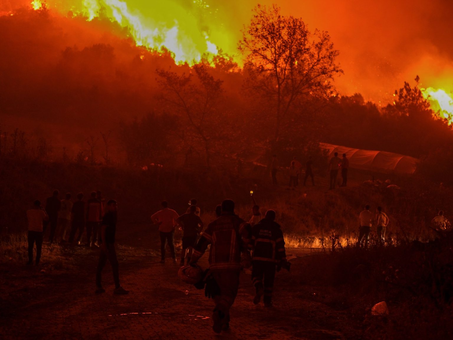 حرائق الغابات تقترب من بورصة التركية