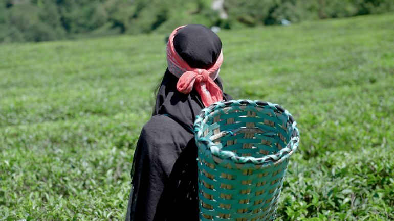 صور ريزا ترحال