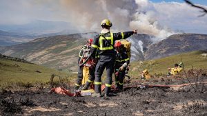 لا ، لم تبدأ حرائق الغابات في إسبانيا عن قصد لإزالة الأراضي لمشاريع البناء