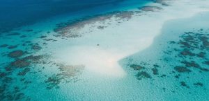 جزيرة بايادا: هروب بدائي قبالة ساحل جدة