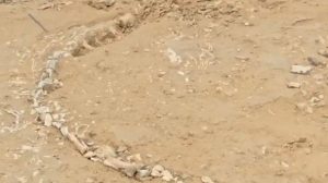 يجد الباحثون حفريات نادرة في حقبة العصر الجوراسي في القرية الهندية