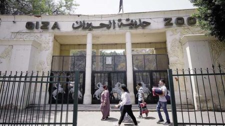 حدائق: مافيش شيفت ليلي علشان الحيونات تنام كويس ويشرف عليهم طاقم أجنبي