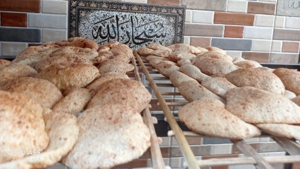 أخبار قنا: ضبط 75 مخالفة تموينية متنوعة.. ومصرع شاب بأعيرة نارية على يد صديقه