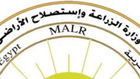 لاختيار أفضل أصناف البطاطس.. اتحاد المصدرين ينفذ 50 حقلا إرشاديا وتجريبيا