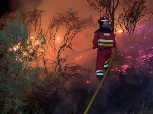 إسبانيا تجلي أكثر من ألف شخص مع اتساع حرائق الغابات