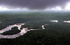 بيئة الكونغو في خطر.. خطط نفطية قد تهدد ملايين البشر والغابات