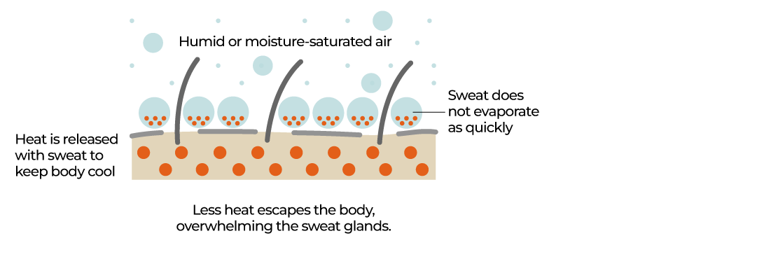 إجهاد السخونة التفاعلية-26 أغسطس ، 2025-1756208136