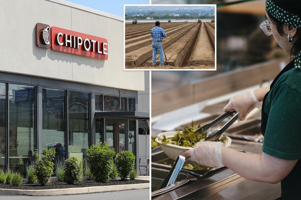 Chipotle ، Sweetgreen BEAT كبير على المزارعين المحليين الصغار وسط أزمة الزراعة المستمرة