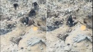 شاهد: كمين نصبته المقاومة لأسر وقتل جنود إسرائيليين بخان يونس