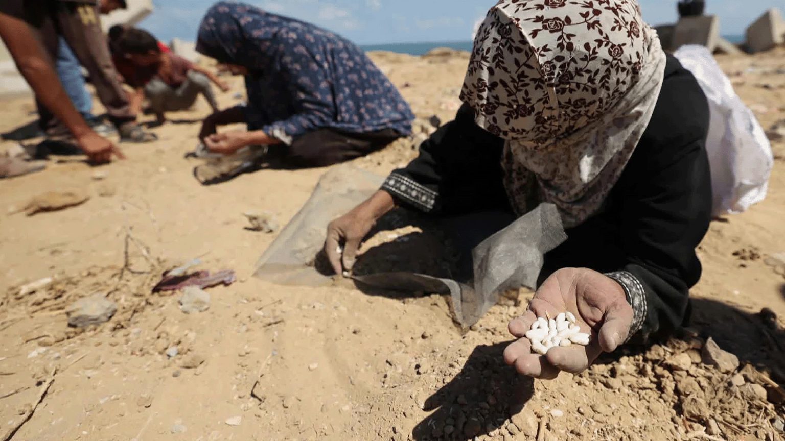 يعاني شللا رباعيا.. المنصات تتضامن مع طفل غزي حلمه بطاطس مقلية