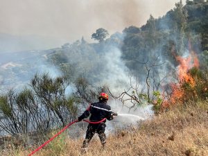 فرق الإطفاء بالجزائر تتعامل مع حريق غابات ضخم قرب العاصمة