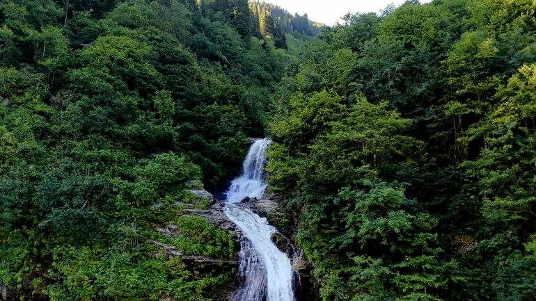 صور ريزا ترحال