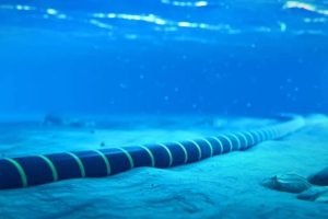 تخفيضات كابل البحر الأحمر تعطل الإنترنت في آسيا والشرق الأوسط