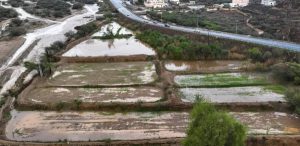 NCM: زيادة هطول الأمطار المتوقع في المملكة العربية السعودية خلال هذا الخريف