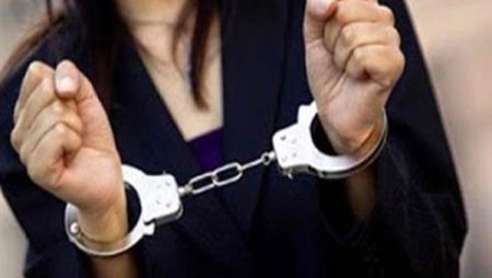 القبض على سيدة تدير كيانًا تعليميًا وهميًا بالجيزة