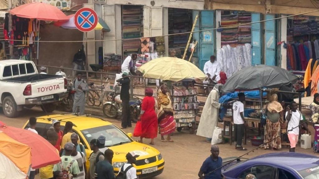 “قطع في السر”: غامبيا الناشطين المناهضين لـ FGM يخافون من الأطفال الذين يستهدفون على الرغم من الحظر