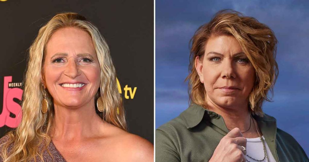 أنهت كريستين براون صداقة ميري براون على الحادث مع ابنة ميكيلي في سن الثامنة