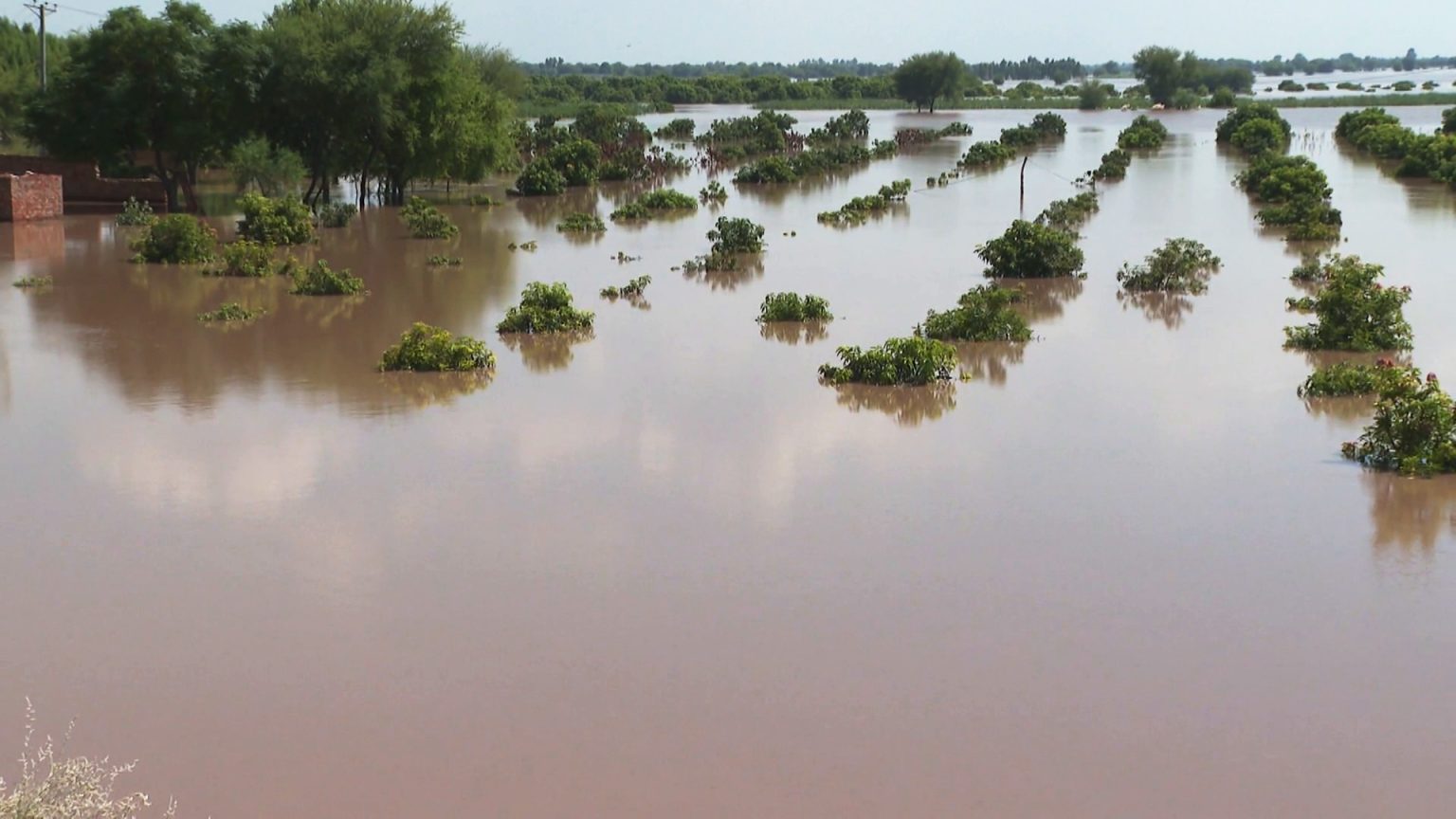 باكستان تشق ضفاف الأنهار للتخفيف من حدة الفيضانات بإقليم البنجاب