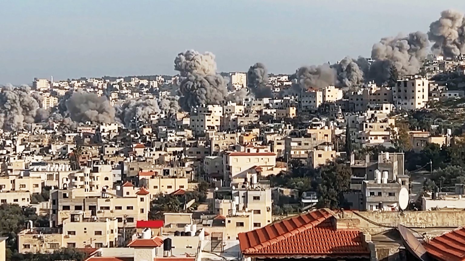 من اقتلاع الزيتون وسرقة الأرض.. كيف يخطط الاحتلال لإسرائيل الكبرى؟