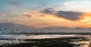 هطول الأمطار يدفن مطارًا ضخمًا في المكسيك