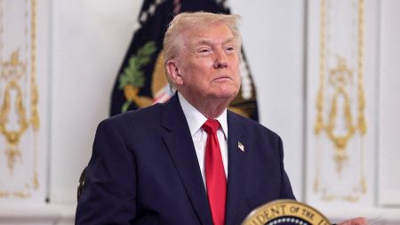 يفكر ترامب في إلغاء الضرائب الفيدرالية على أرباح القمار