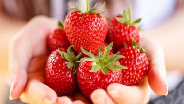 فوائد تناول الفراولة في الشتاء