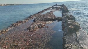 حملة عيشها بصحة.. فعالية توعوية لتعزيز النظافة والوقاية من الأمراض المعدية