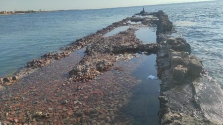 حملة عيشها بصحة.. فعالية توعوية لتعزيز النظافة والوقاية من الأمراض المعدية