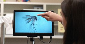 انتشر البعوض الحامل للأمراض إلى جبال روكي