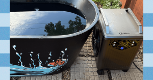 هل الغطس البارد مفيد لك؟ (2025)