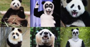 الحالة الغريبة لكلمة التحقق الغريبة والمختفية