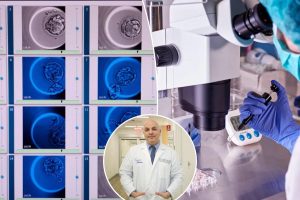 عندما تحدث الأزمات الصحية، يمكن أن يحافظ تجميد البويضات على الخصوبة